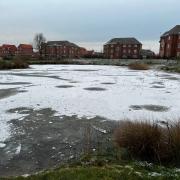 The pond frozen over in Didcot. Picture by Didcot Fire Station