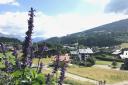 Megeve in summer with wildflowers decorating every mountainside. All pictures by Naomi Herring