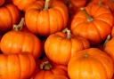 PUMPKINS: Family friendly Halloween event at Orchard Centre in Didcot