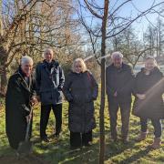 First tree planting of the year, part of the The Queen's Green Canopy; Wallingford Town Mayor Marcus accompanied by councillors Katharine Keats-Rohan, Pete Sudbury, and Ross Lester, as well as Ken Lester, the High Steward of Wallingford.