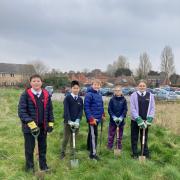 Wallingford School pupils plant trees