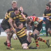 POWER: Bicester’s Ryan Briscoe drives at the Wallingford defence during his side’s 31-8 victory in Southern Counties North Picture: Steve Wheeler