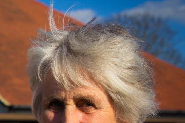 South Oxfordshire District Council leader Sue Cooper