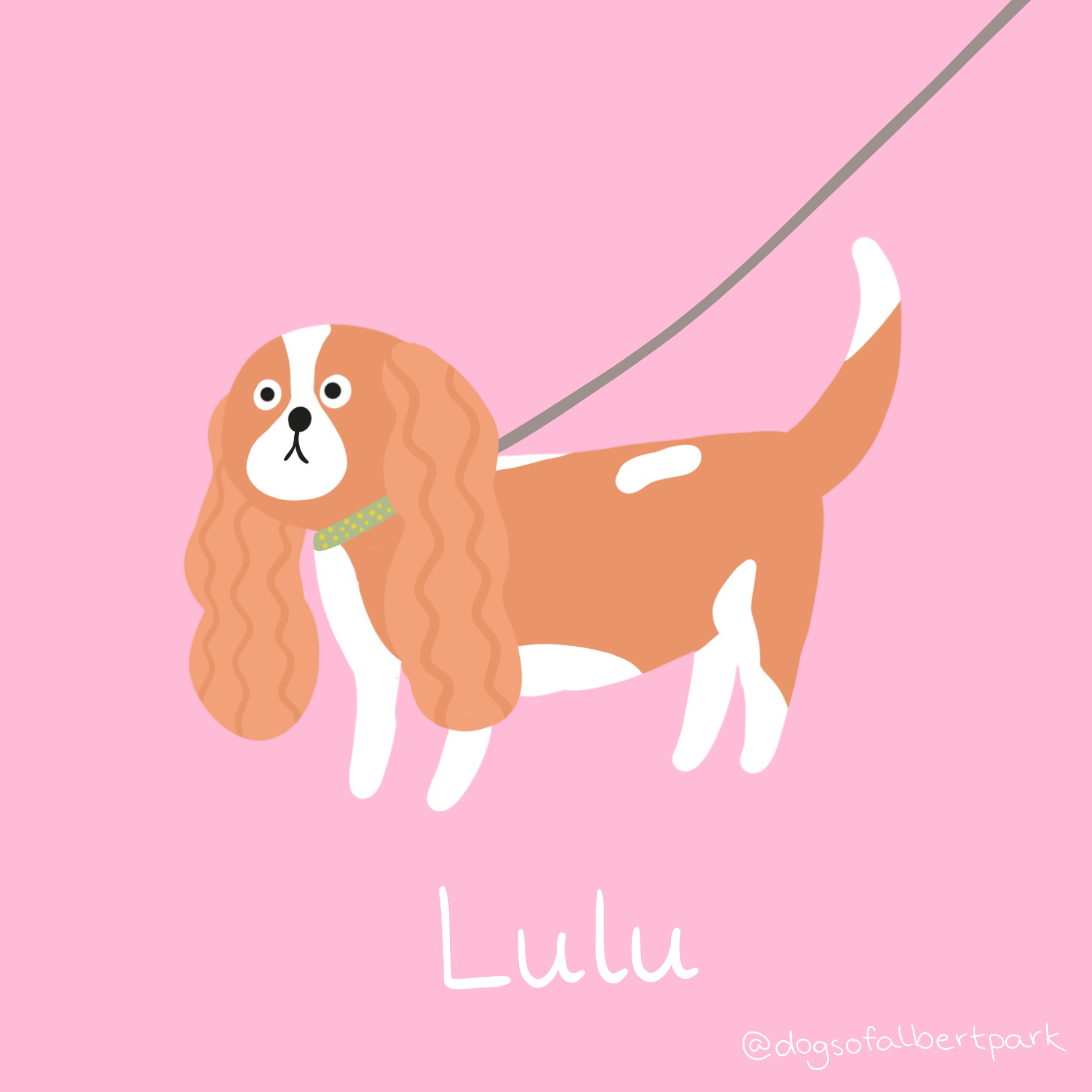 Lulu is one of Ms Myrvangs dogs 