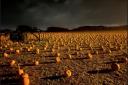 PUMPKINS: Oxfordshire's eeriest pumpkin patch, High Lodge Farm