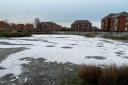 The pond frozen over in Didcot. Picture by Didcot Fire Station