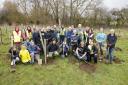 Abingdon Carbon Cutters planting trees