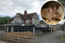 'Evidence of mice' found at Didcot pub during inspection. Inset: Stock image of mouse