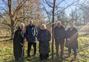 First tree planting of the year, part of the The Queen's Green Canopy; Wallingford Town Mayor Marcus accompanied by councillors Katharine Keats-Rohan, Pete Sudbury, and Ross Lester, as well as Ken Lester, the High Steward of Wallingford.