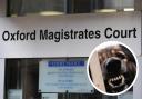 Two people appeared in court for being in charge of a dangerously out of control dog. Picture: Oxford Mail Archive/Pexels