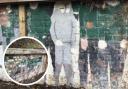MURAL: Mural from the 1990s discovered at Oxfordshire primary school