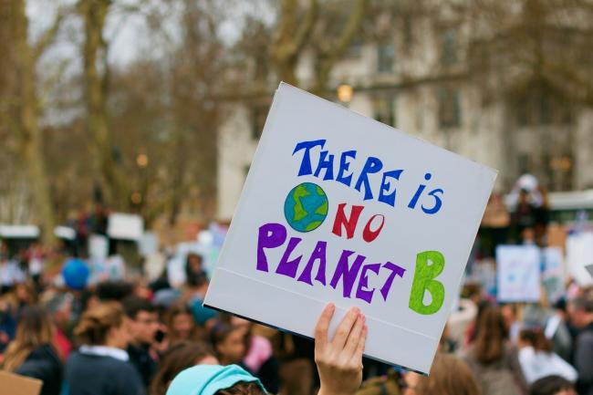 Climate protest sign. Picture: Pixabay