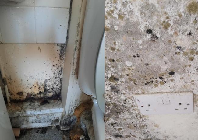 Mould in the bathroom, left, and surrounding a plug socket, right.