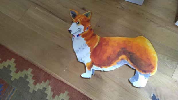 Herald Series: Cut-out corgis will be hidden around the town