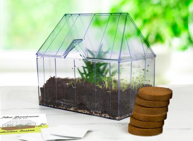 Herald Series: Mini Greenhouse Kit (Moonpig)