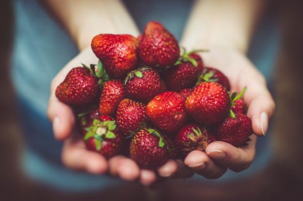 The best places to go strawberry picking in Oxfordshire
