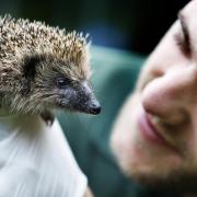 Oxfordshire Wildlife Rescue is at full capacity due to a lack of staff. Picture: Ed Nix