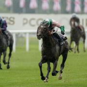 Highland Chief, ridden by Rossa Rya,n wins The Golden Gates Handicap during day three of Royal Ascot last month   Picture: Alan Crowhurst/PA Wire