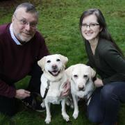 Jim and Christina Sibbald with the dogs that bred puppies for the guide dog charity. Jim is the Mayor of Wantage. 
11/01/2022
Picture by Ed Nix
