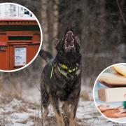 Some postal workers have been left with permanent and disabling injuries from dog attack.