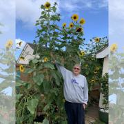 Terance Parsons with his 11ft sunflower. Picture: Carol Parsons