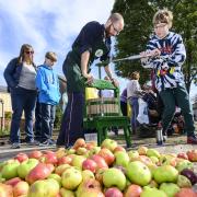 APPLES: Apple pressing event in Didcot. Picture by Frank Dumbleton
