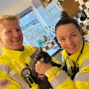 Fire crew with saved kitten