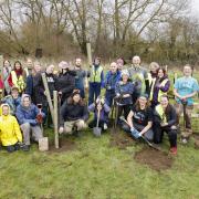 Abingdon Carbon Cutters planting trees